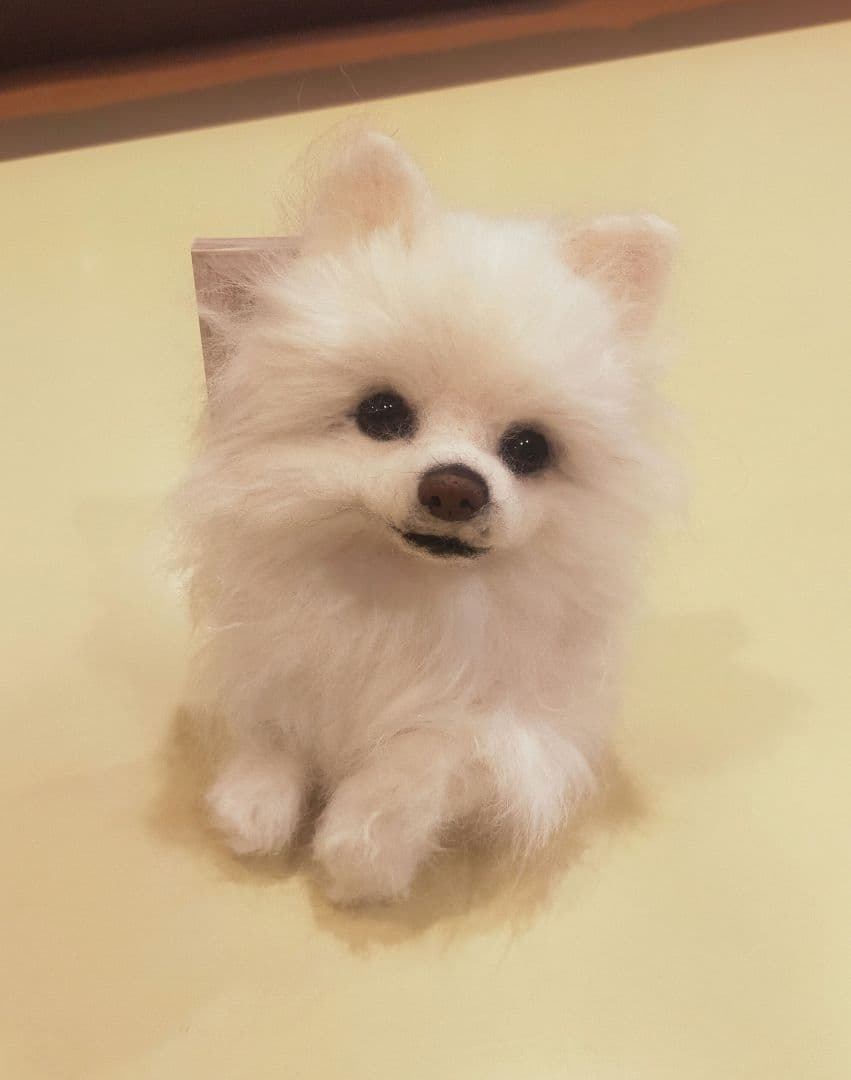 羊毛フェルト　ハンドメイド　犬　ポメラニアン　フレーム