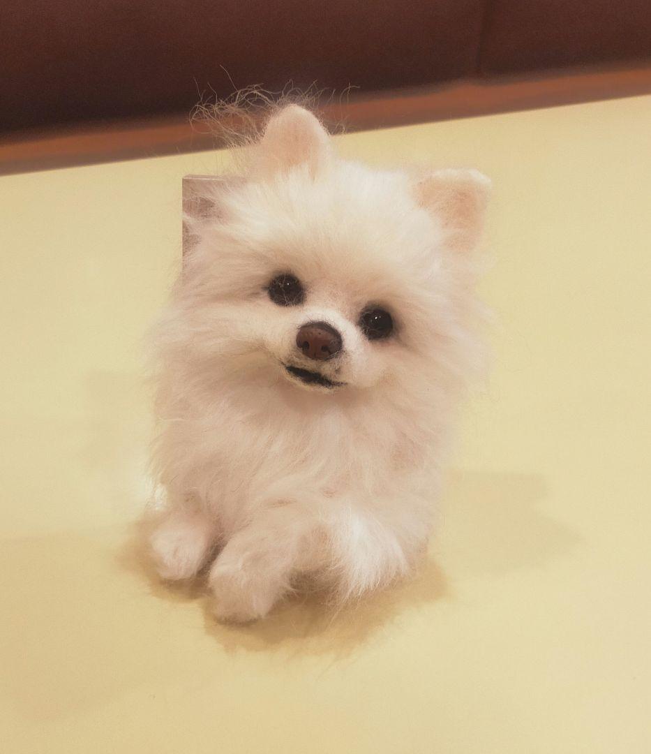 羊毛フェルト　ハンドメイド　犬　ポメラニアン　フレーム