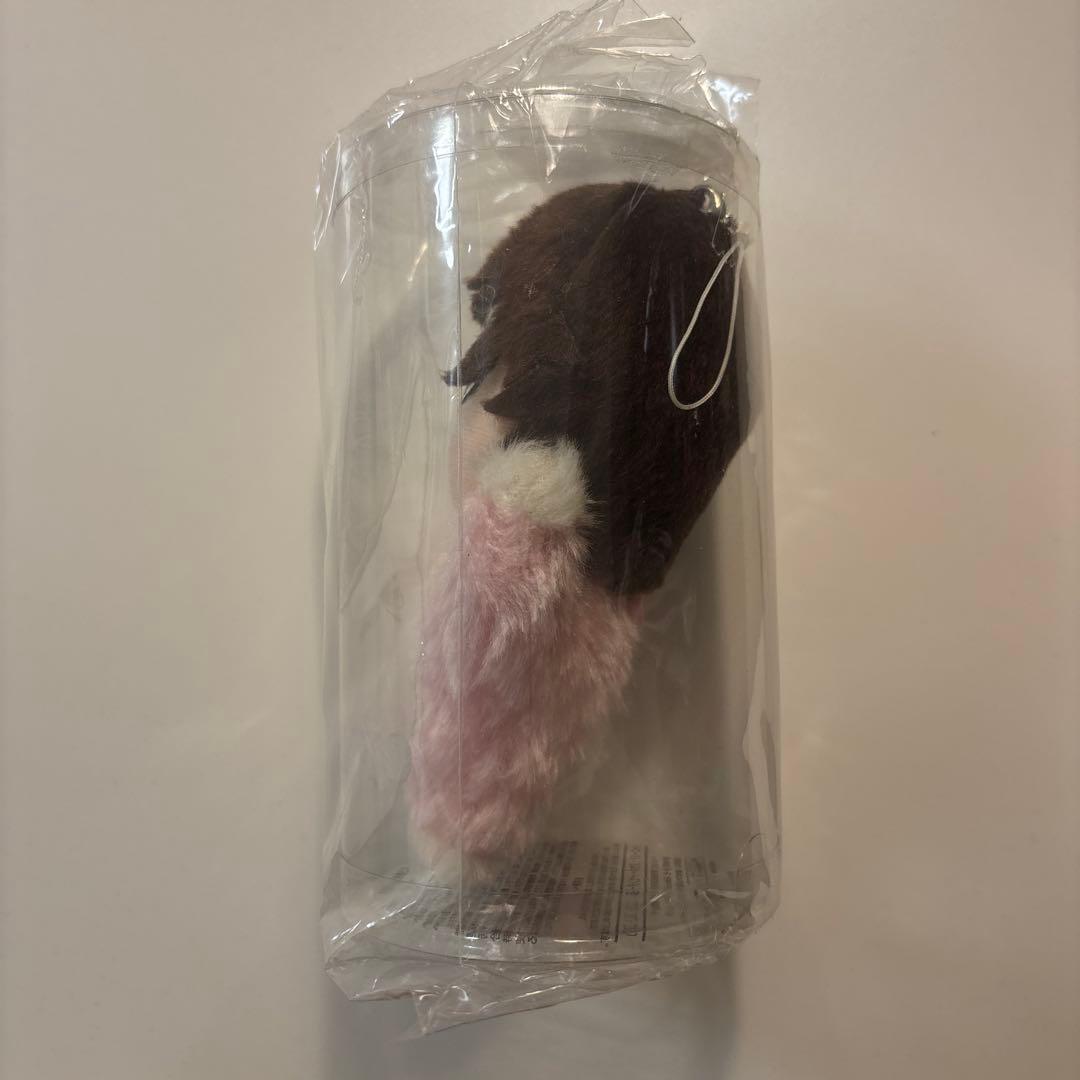 加藤シゲアキ　中の人　ぬいぐるみ マスコット