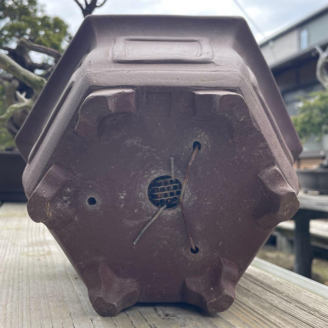 枯れ盆栽[真柏]【鉢鉢なし】☆ドライアート創作盆栽用