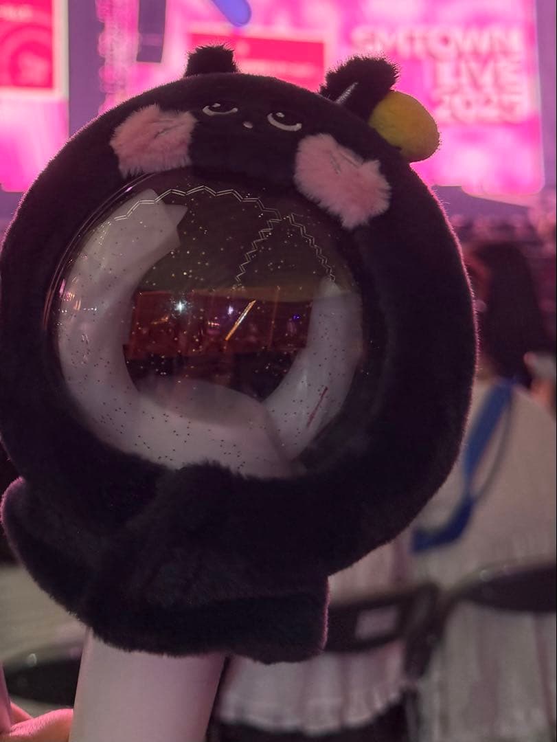 RIIZE WONBIN ペンライトカバー　ウォンビン