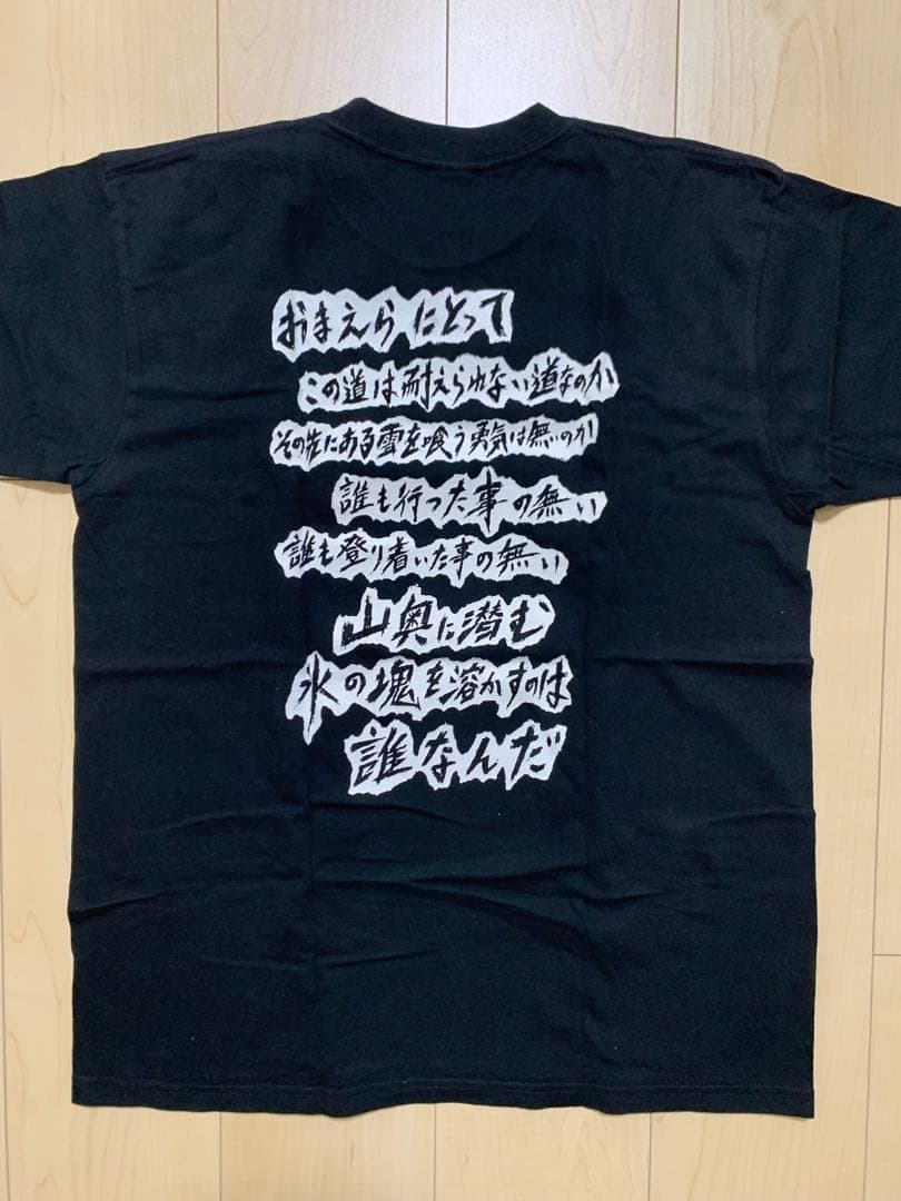 GAUZE Tシャツ Mサイズ