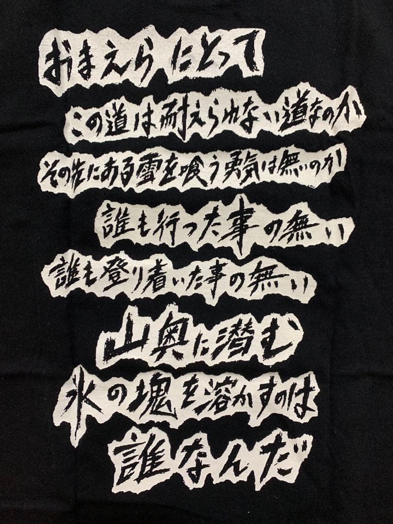 GAUZE Tシャツ Mサイズ