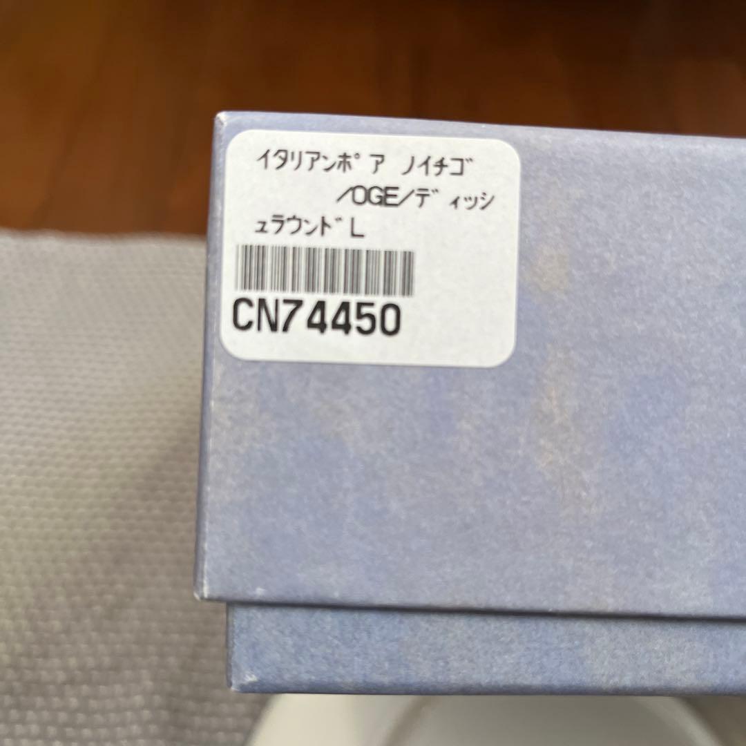 リチャードジノリ　イタリアンポア　ディッシュラウンドL