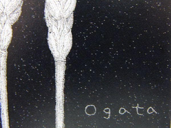 緒方洪章、『麦』、希少画集より、状態良好、新品木製額・額装付