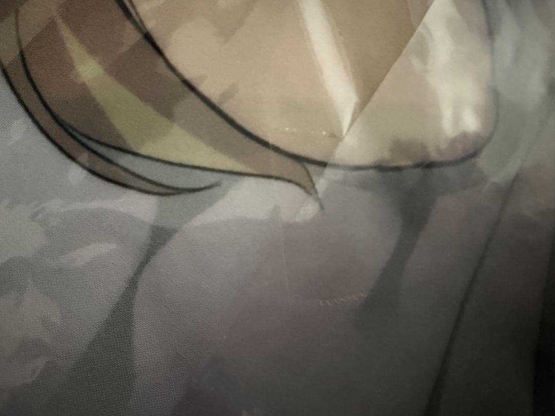 閃乱カグラ PEACH BEACH SPLASH 特典　大型布ポスター 詠