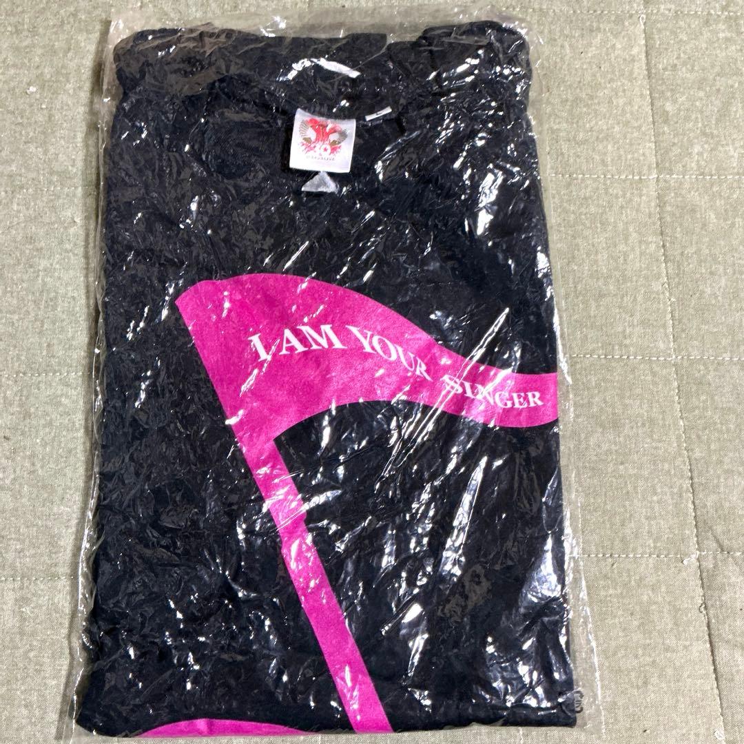 サザンオールスターズ30thLive 真夏の大感謝際　Tシャツ　Lサイズ　未使用