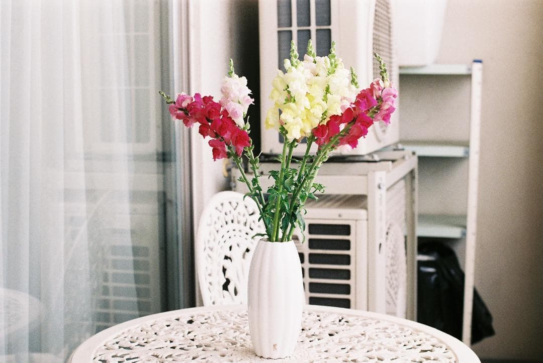 実写済み完動品 Nikomat FTn 、Nikkor 50mm f/1.4付