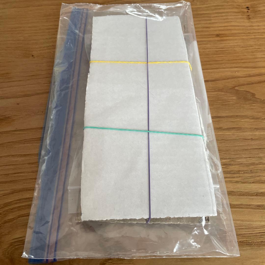 塩*分様 ゴッドパック ポケモンカードゲーム デラスティルフェスEX