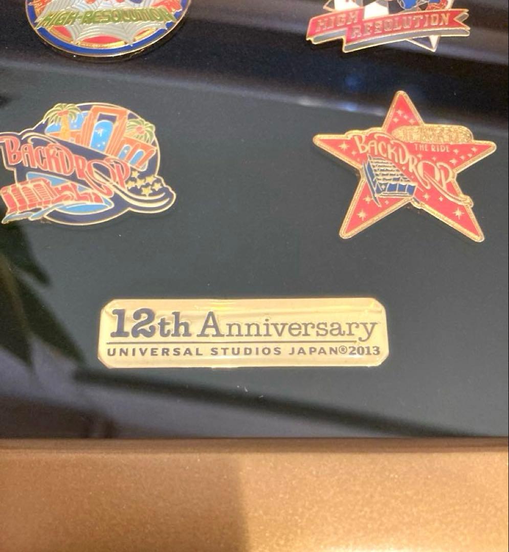 【希少・非売品】USJ 12周年ピンバッジ　盾&箱付き　バックドロップピンズ