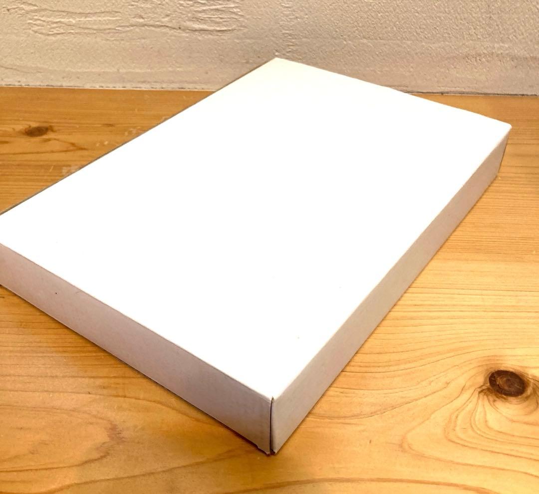 【希少・非売品】USJ 12周年ピンバッジ　盾&箱付き　バックドロップピンズ