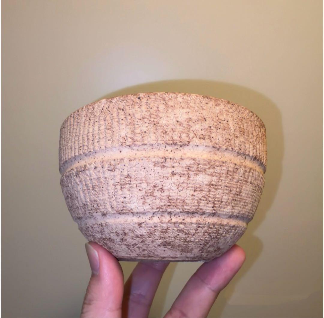 M SIZE 植木鉢 作家鉢 グラキリス パキプス 恵比寿笑い 黒鬼城 魔界玉