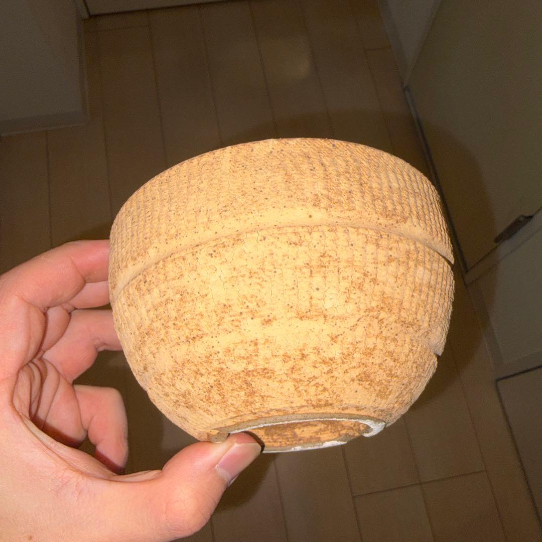 M SIZE 植木鉢 作家鉢 グラキリス パキプス 恵比寿笑い 黒鬼城 魔界玉