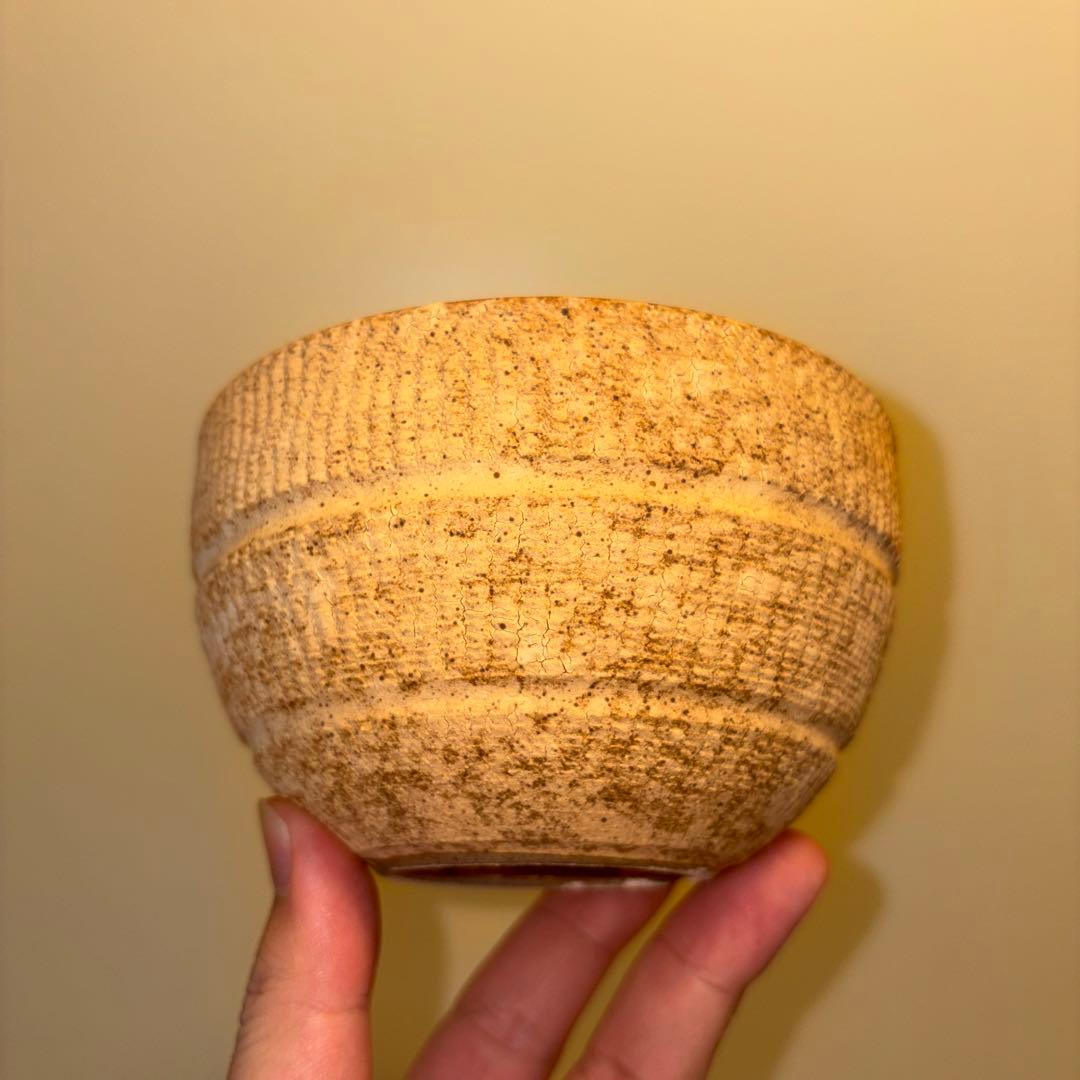 M SIZE 植木鉢 作家鉢 グラキリス パキプス 恵比寿笑い 黒鬼城 魔界玉