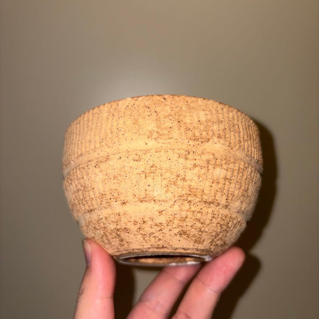 M SIZE 植木鉢 作家鉢 グラキリス パキプス 恵比寿笑い 黒鬼城 魔界玉