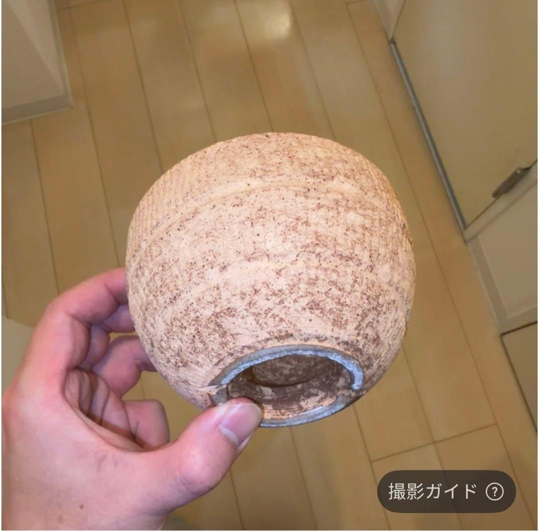 M SIZE 植木鉢 作家鉢 グラキリス パキプス 恵比寿笑い 黒鬼城 魔界玉