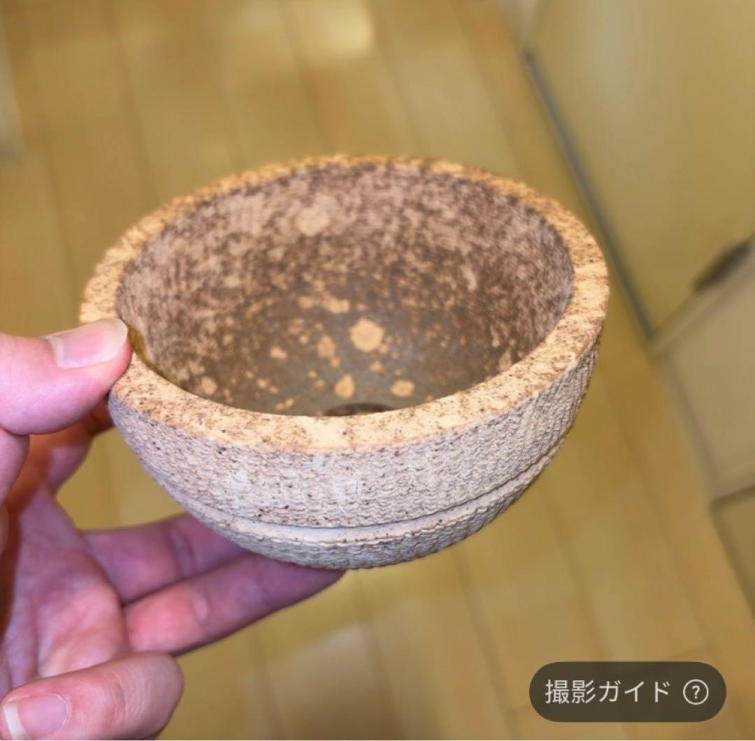 M SIZE 植木鉢 作家鉢 グラキリス パキプス 恵比寿笑い 黒鬼城 魔界玉