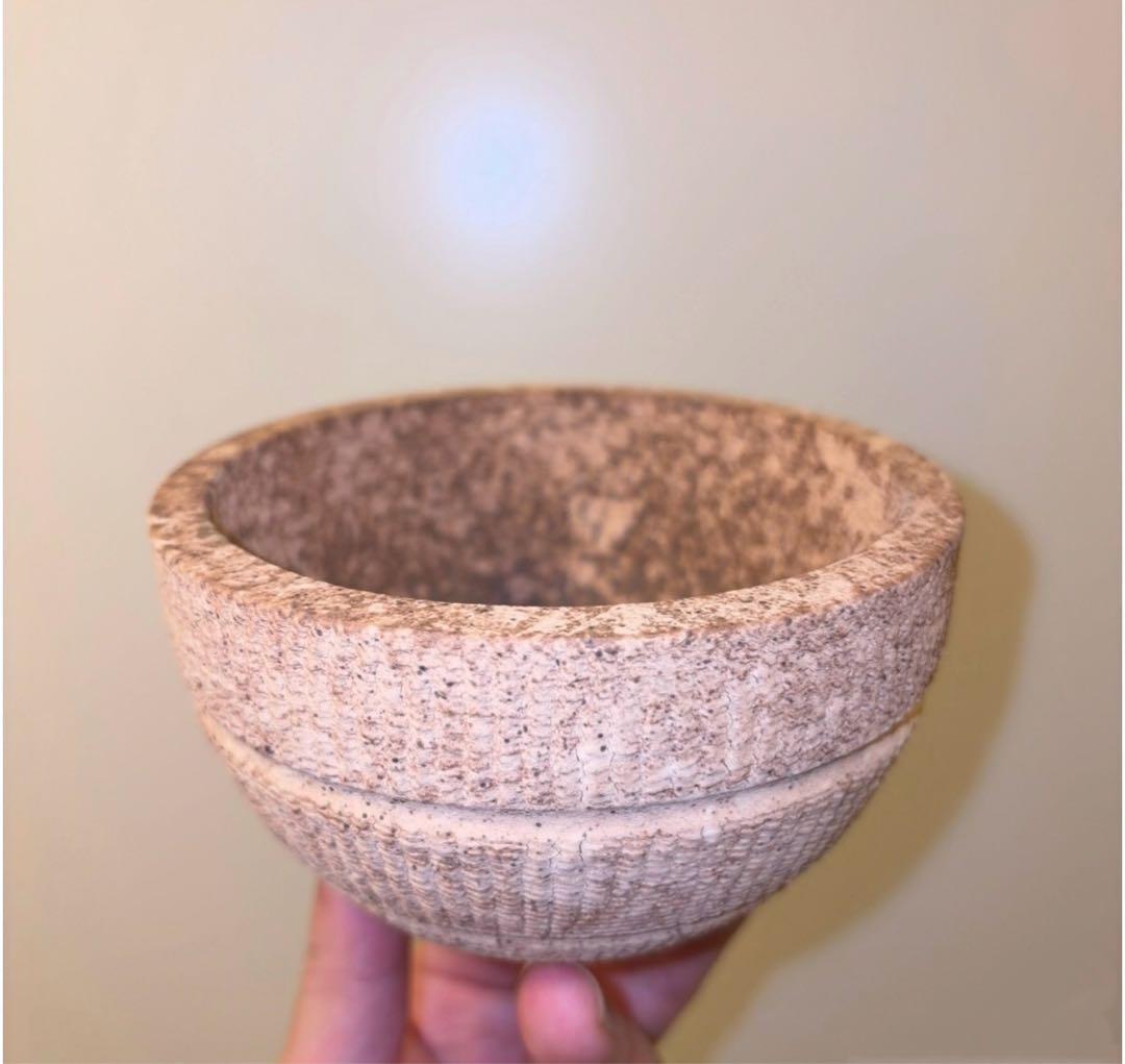 M SIZE 植木鉢 作家鉢 グラキリス パキプス 恵比寿笑い 黒鬼城 魔界玉