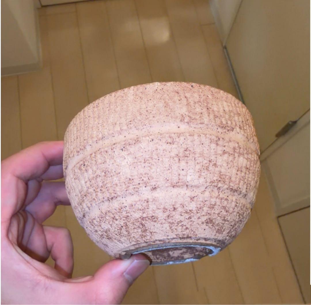 M SIZE 植木鉢 作家鉢 グラキリス パキプス 恵比寿笑い 黒鬼城 魔界玉