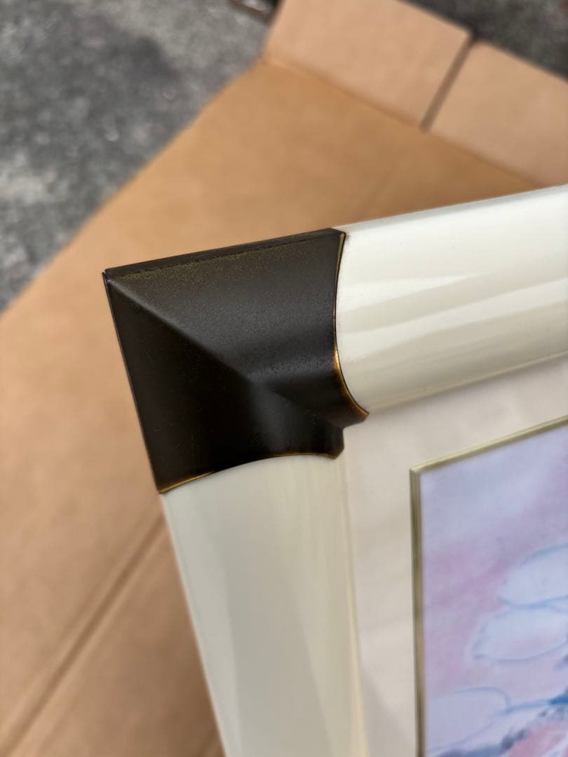 絵画　大　アンドレ・ブラジリエ（André Brasilier）バラ色の夢 名画