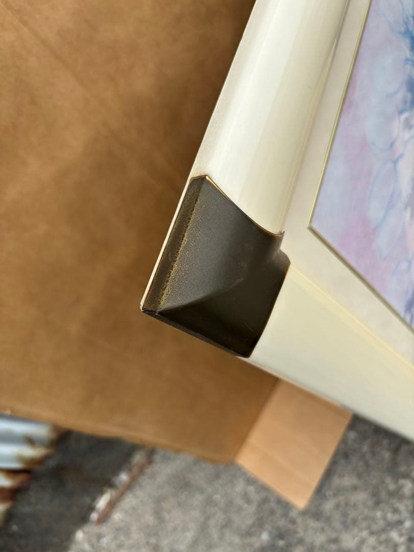 絵画　大　アンドレ・ブラジリエ（André Brasilier）バラ色の夢 名画