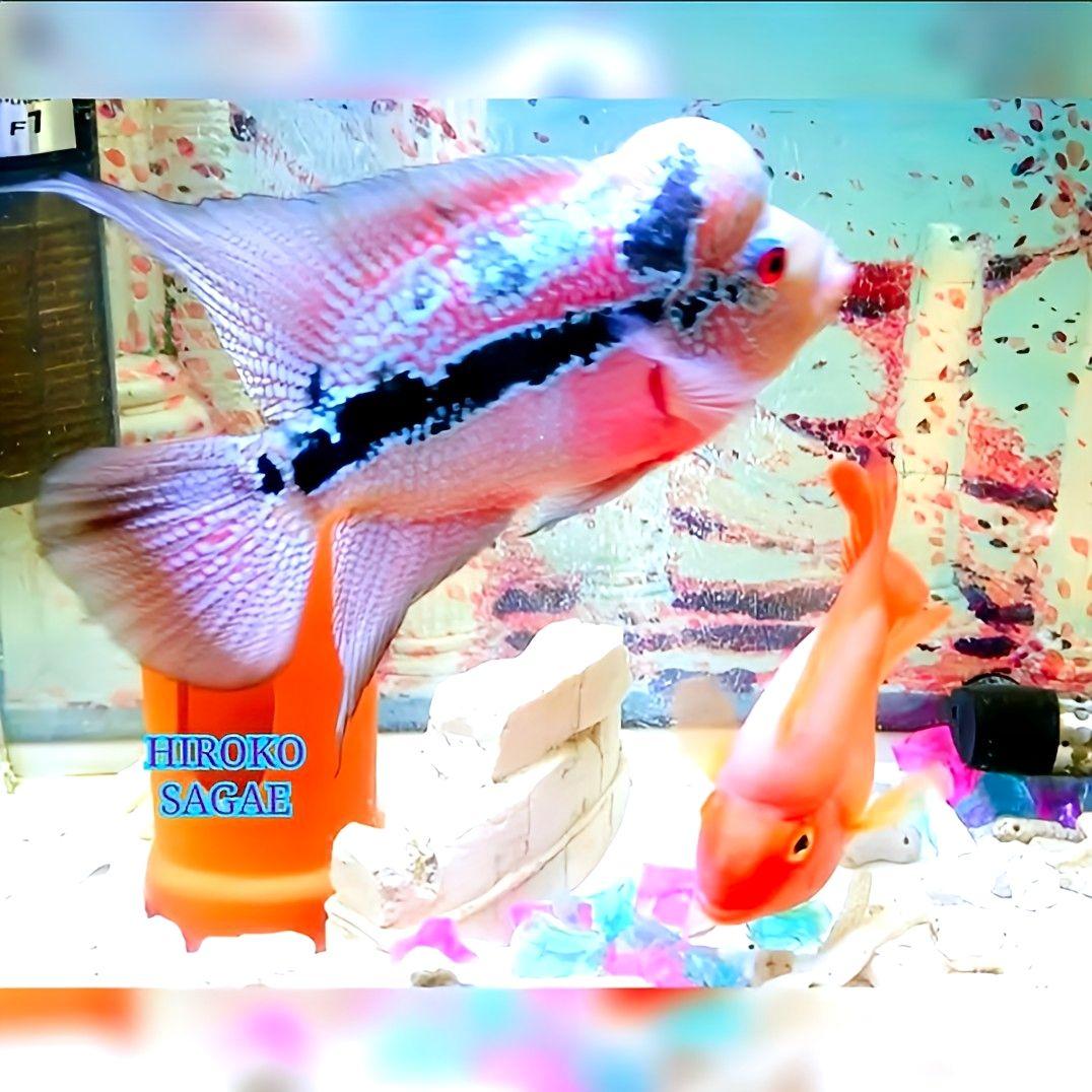 アクアマリン ペリドット 幸福 幸運 癒し 恋愛運 誕生石 星座石 守護石