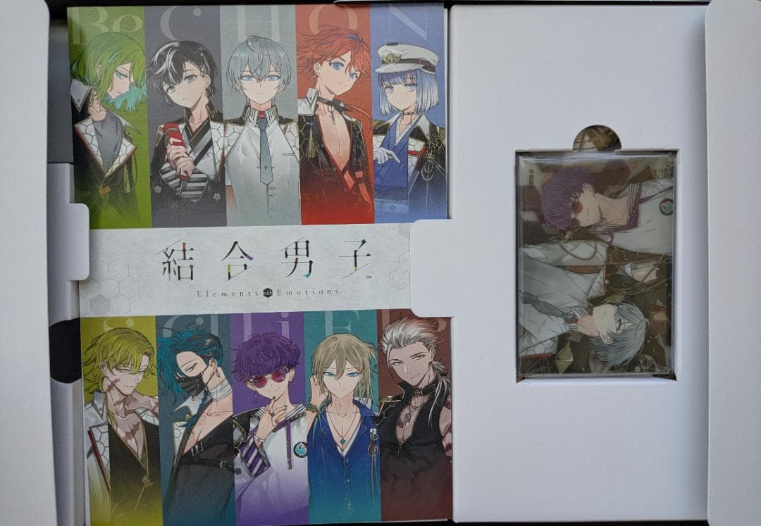 結合男子 コレクターズエディション おまけあり 開封済