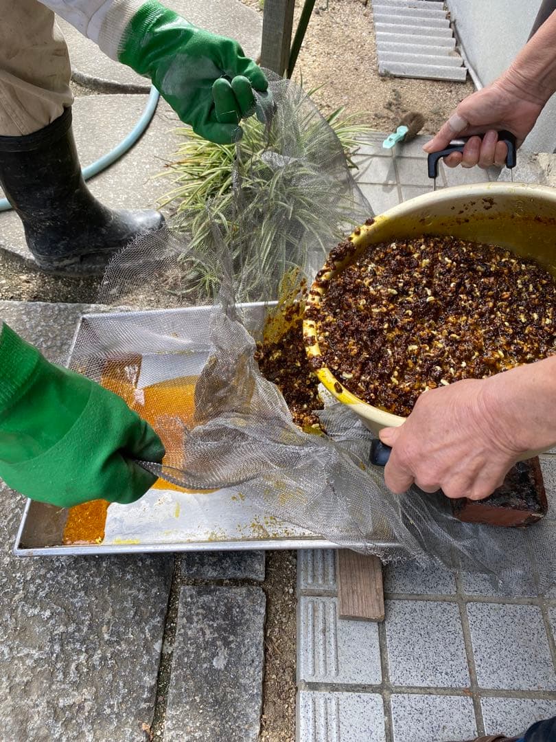 ミツロウ　日本蜜蜂の蜜蝋　誘引用のみつろう
