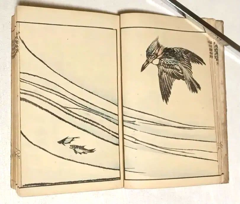 金波園画譜No.2（色刷り木版画本) 河村文鳳画、文化8年出版