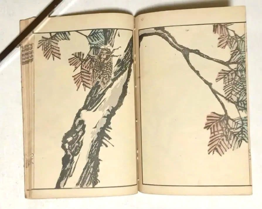 金波園画譜No.2（色刷り木版画本) 河村文鳳画、文化8年出版