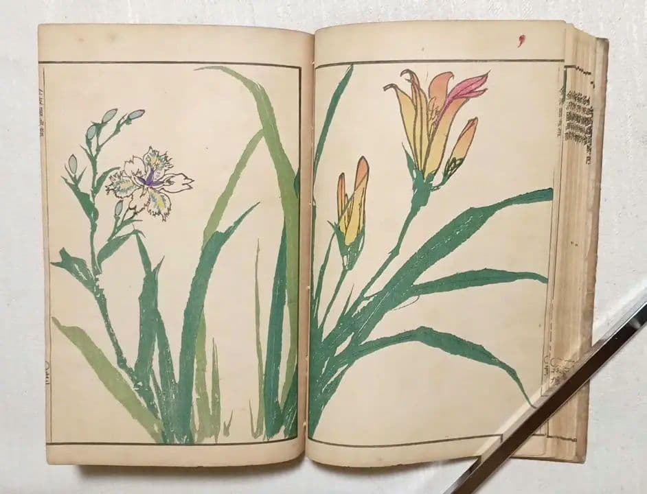 金波園画譜No.2（色刷り木版画本) 河村文鳳画、文化8年出版