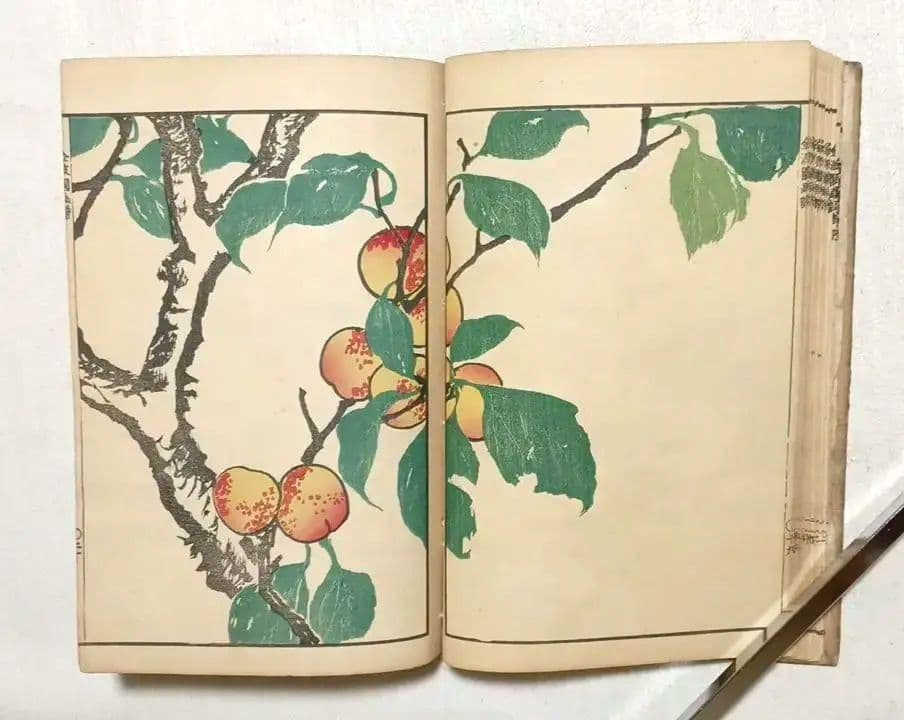 金波園画譜No.2（色刷り木版画本) 河村文鳳画、文化8年出版