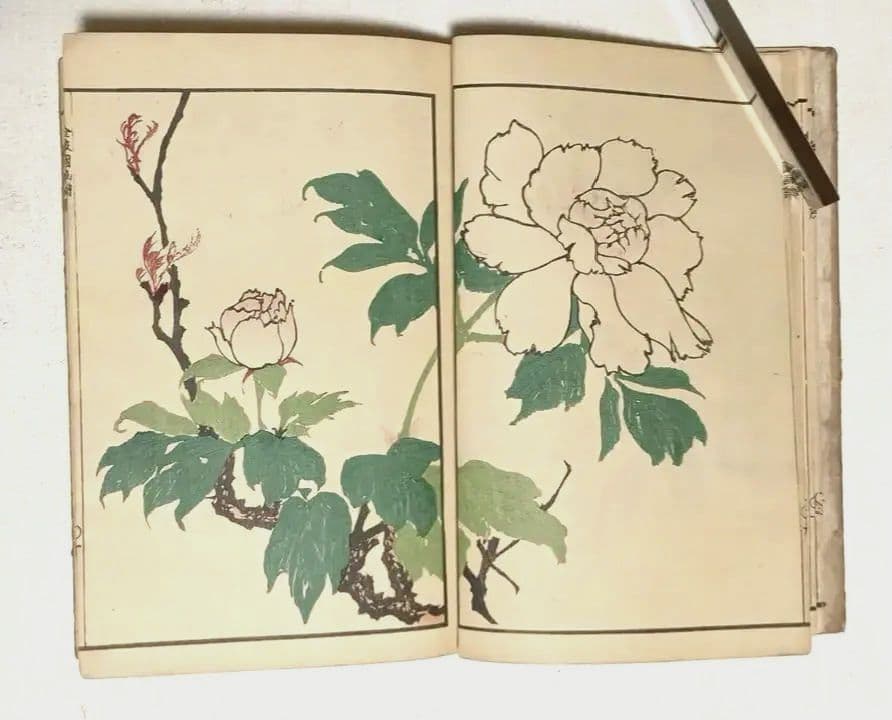 金波園画譜No.2（色刷り木版画本) 河村文鳳画、文化8年出版