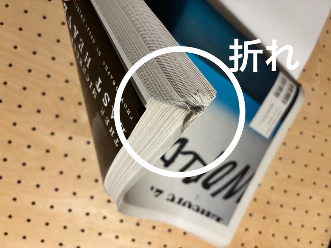 ミッシェルガンエレファント　写真集