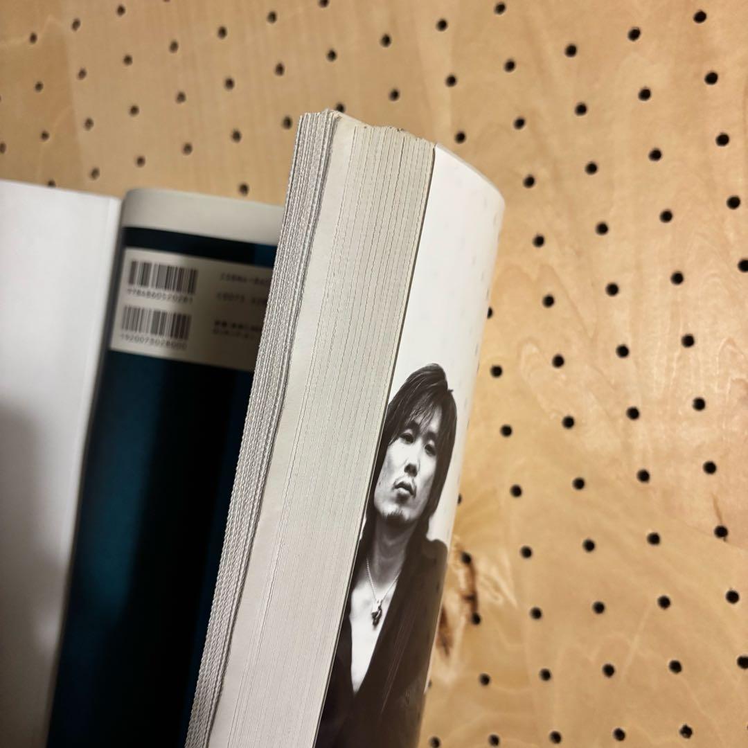 ミッシェルガンエレファント　写真集