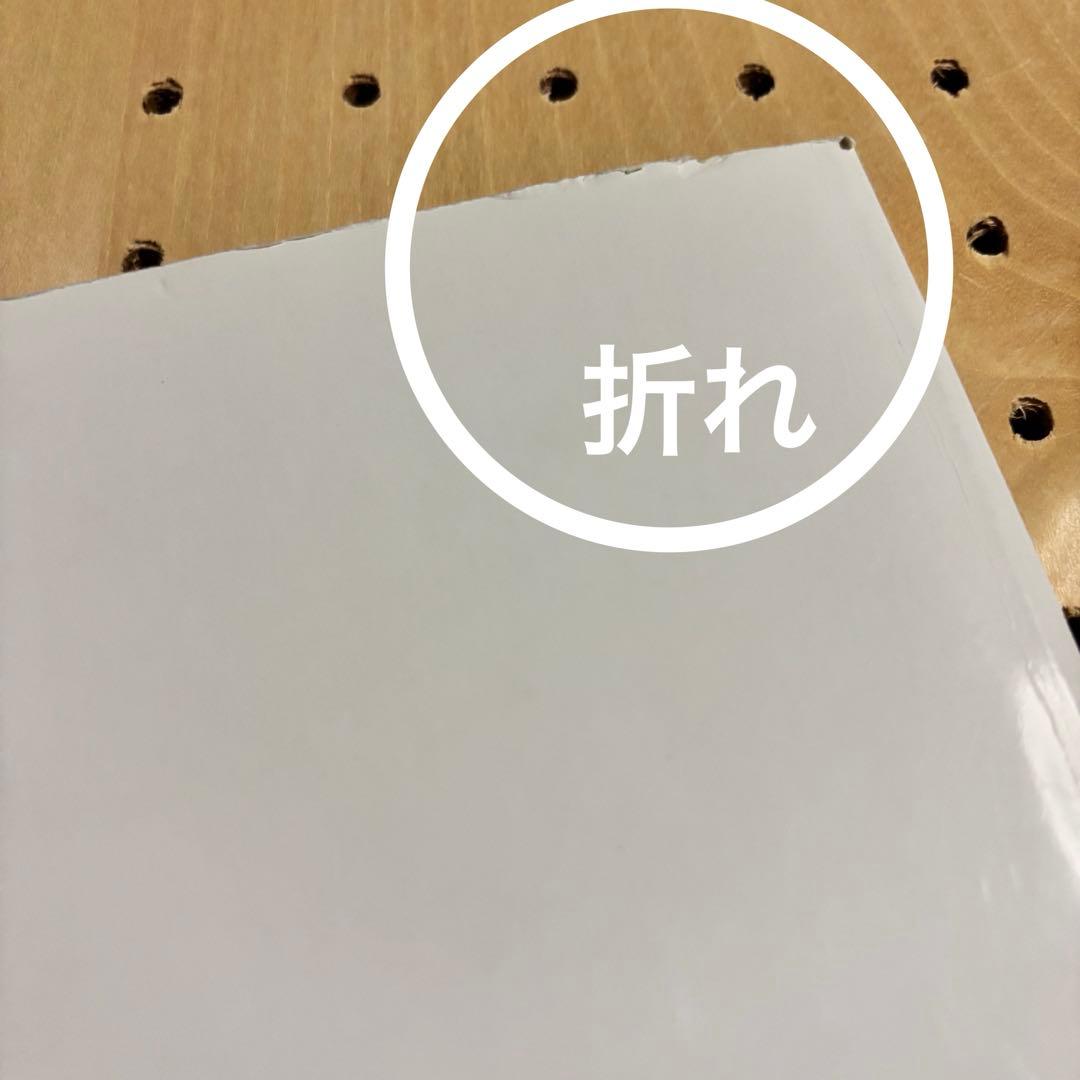 ミッシェルガンエレファント　写真集