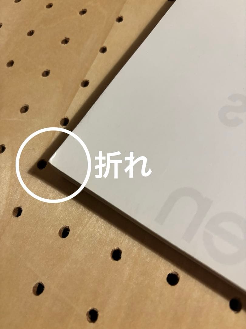 ミッシェルガンエレファント　写真集