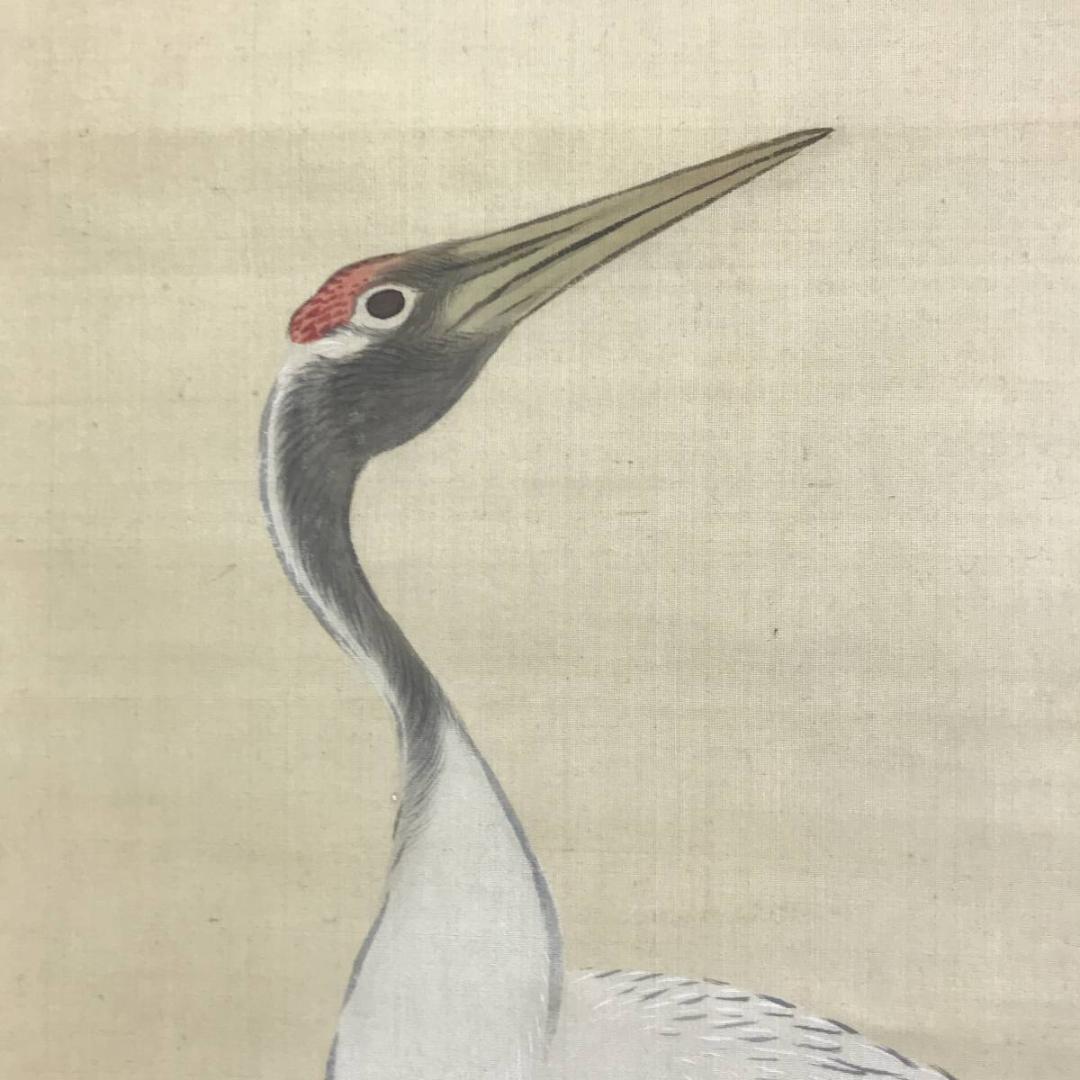 真作/山田文厚/松上に双鶴図/松鶴図/正月掛軸/掛軸/名家伝来/AE-220