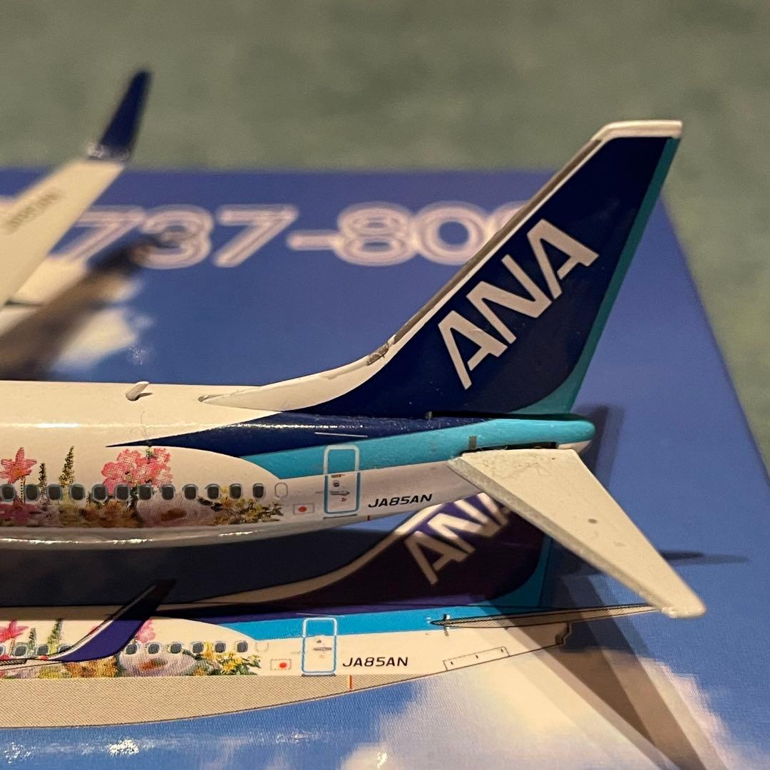 ANA 737-800 FLOWER JET 全日空 JA85AN ph