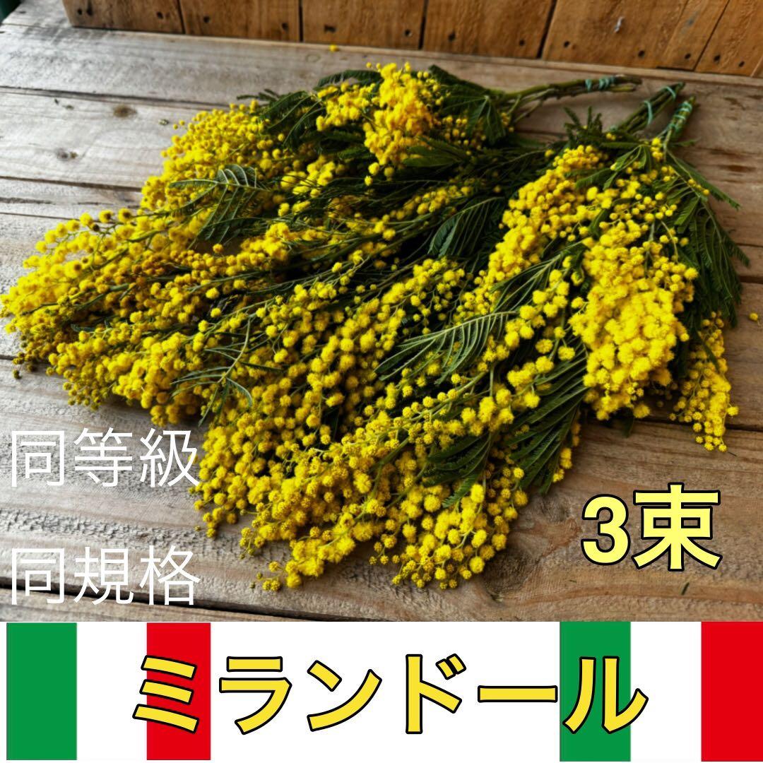 miko様 リクエスト 2点 まとめ商品