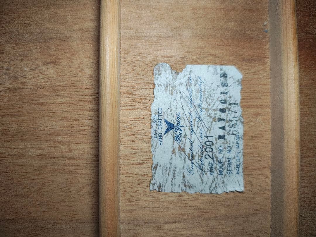 k.yairi　RAY601 サンバースト ハードケース付き