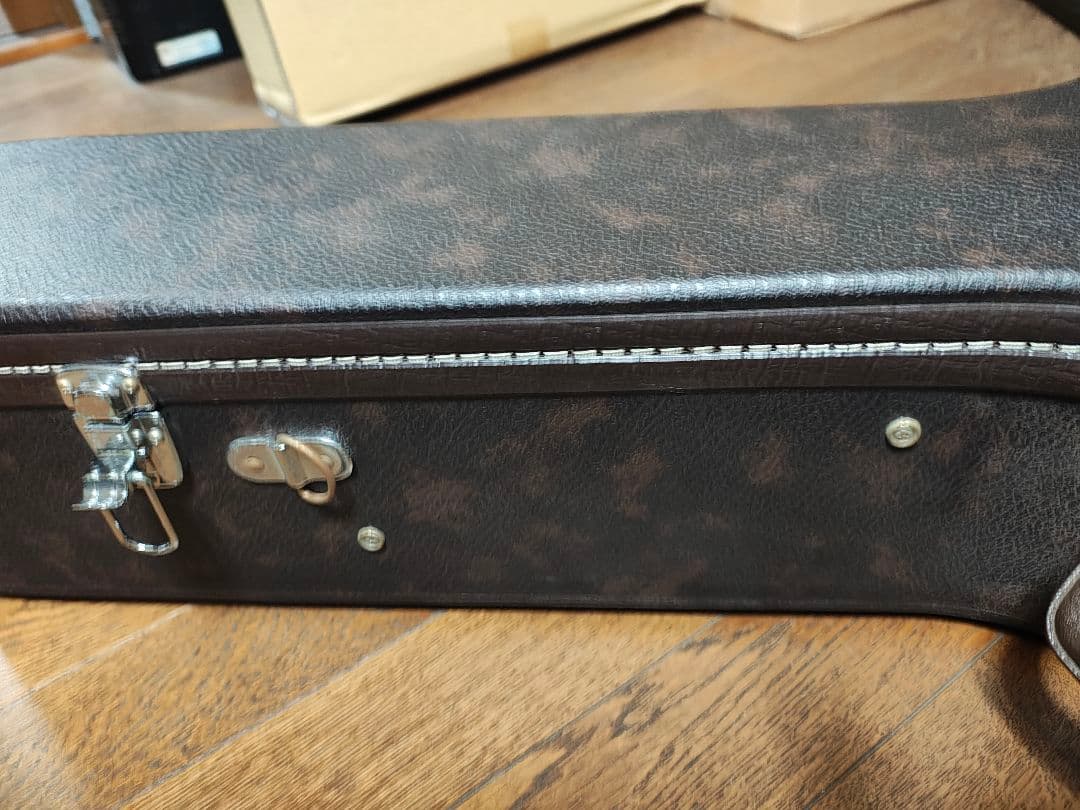 k.yairi　RAY601 サンバースト ハードケース付き