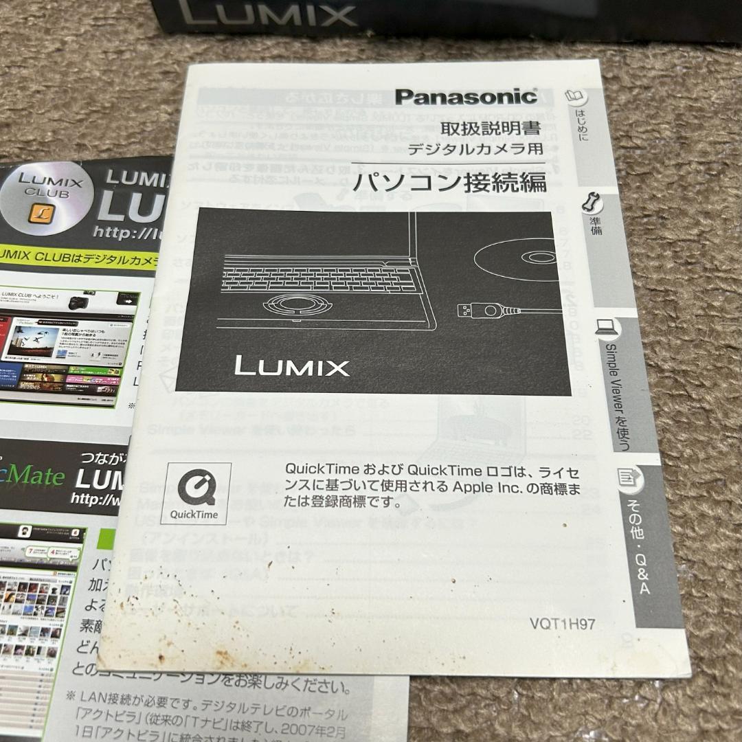 Panasonic DMC-FX100-S コンパクトデジタルカメラ