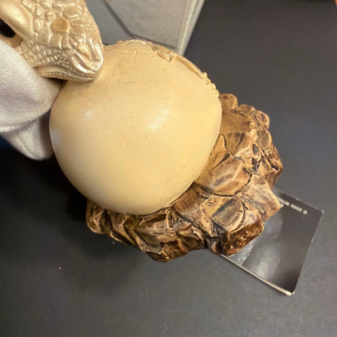 Windstone EditionsHatching Drago孵化するドラゴン