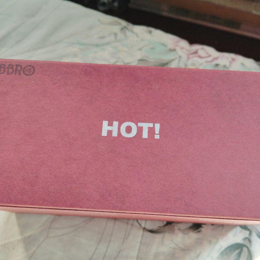 人気希少 エブロ シビック タイプR CIVIC TYPE R FD2