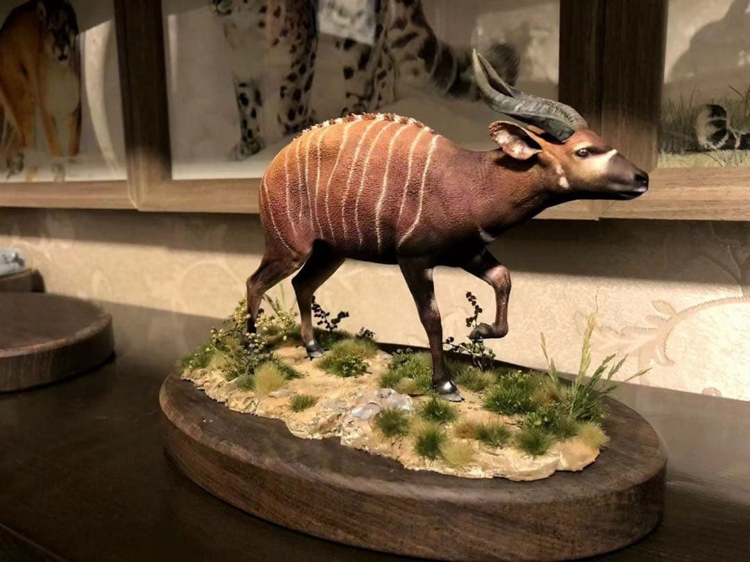 ※※オーダー商品です！ハンドメイド　ボンゴ