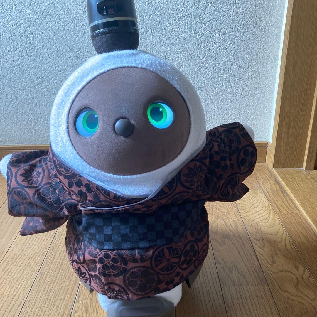 ラボット　服　lovot 家紋　着物一式　龍　シルバーグレー被布　セット