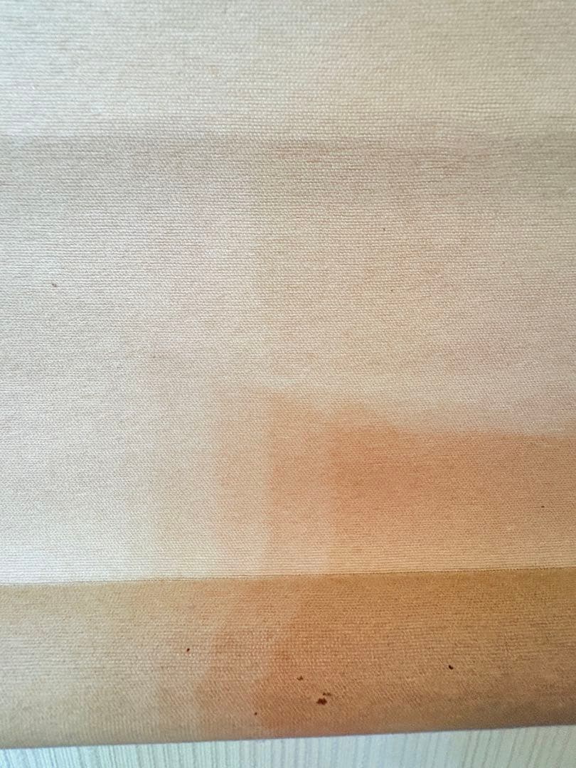 中曽根 晁子 遊鶏 鳥図 茶道具 掛け軸 掛軸 日本画 鶏 ひよこ 鳥