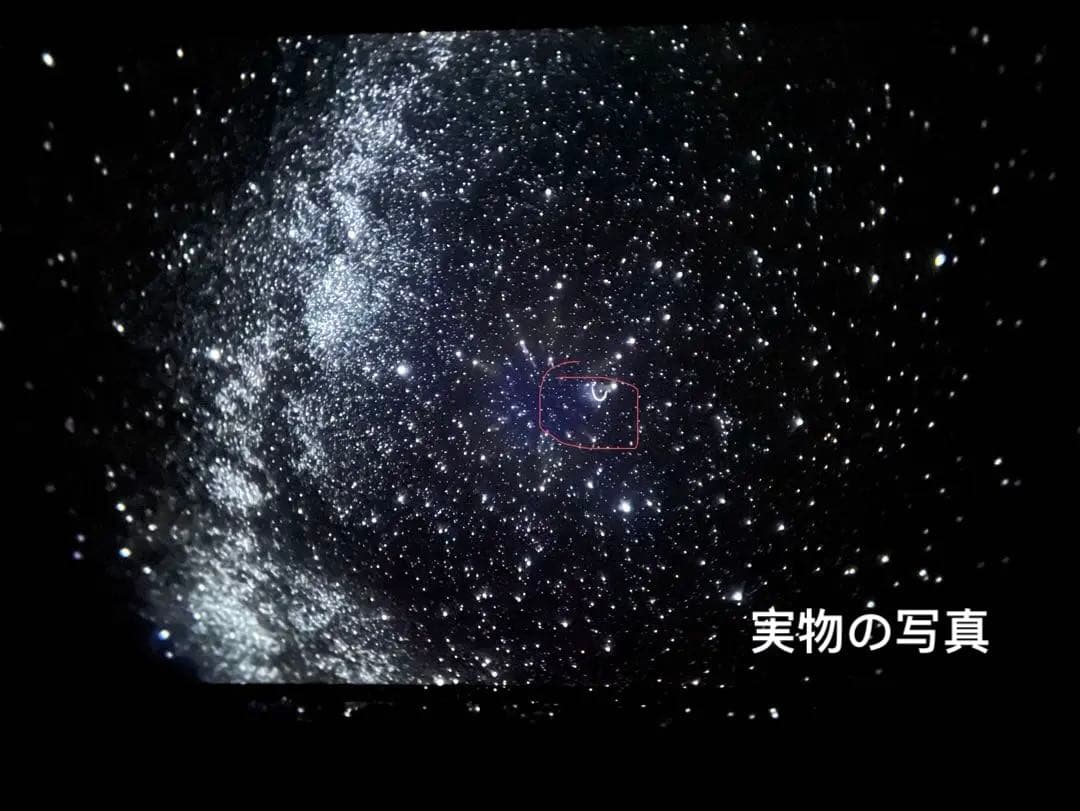 star 星が瞬くプラネタリウム ミッドナイトネイビー SEGATOYS