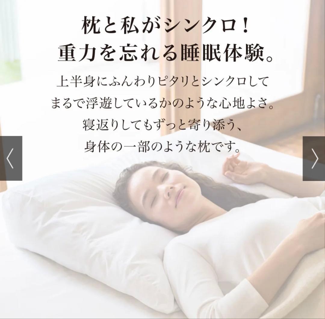 ふんわりシンクロピロー ディノス　枕